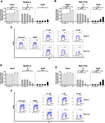 Cell cycle block by p53 activation reduces SARS-CoV-2 release in infected alveolar basal epithelial A549-hACE2 cells